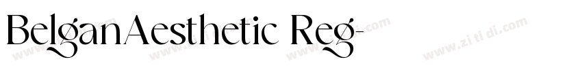 BelganAesthetic Reg字体转换